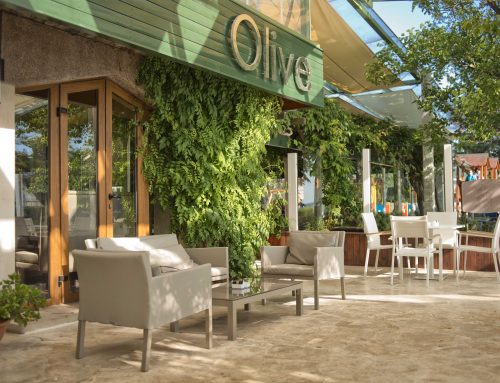 Olive Restaurant & Bar @ Sveti Stefan