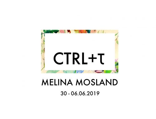 CTRL+τ | ‘’BLOOM in progress’’ της Μελίνας Φακίτσα Mosland